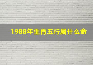 1988年生肖五行属什么命