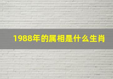 1988年的属相是什么生肖