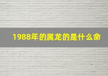 1988年的属龙的是什么命