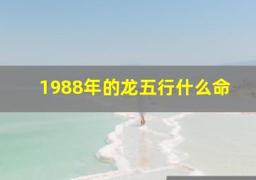 1988年的龙五行什么命