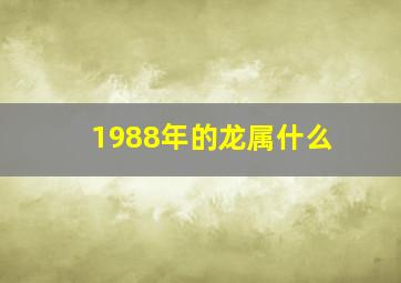 1988年的龙属什么