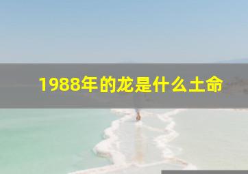 1988年的龙是什么土命