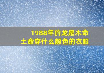 1988年的龙是木命土命穿什么颜色的衣服