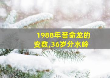 1988年苦命龙的变数,36岁分水岭