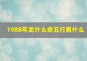 1988年龙什么命五行属什么