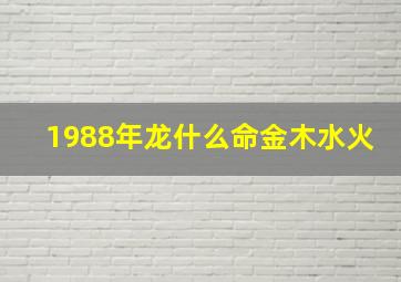 1988年龙什么命金木水火