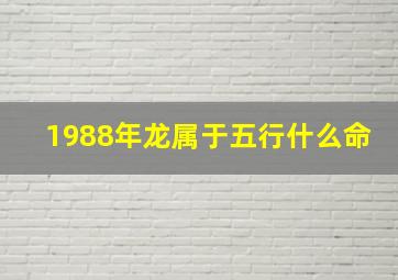 1988年龙属于五行什么命