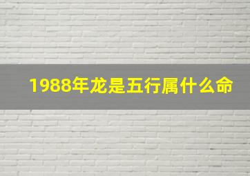 1988年龙是五行属什么命