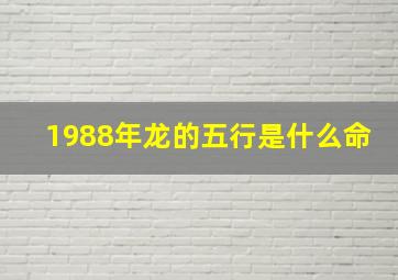 1988年龙的五行是什么命