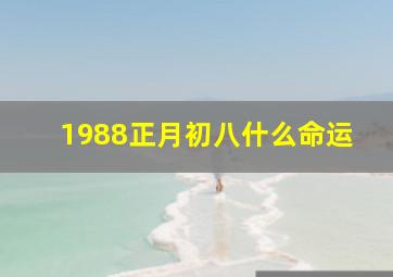 1988正月初八什么命运