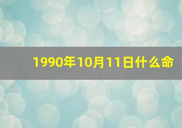 1990年10月11日什么命