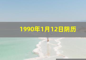 1990年1月12日阴历