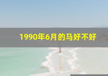 1990年6月的马好不好