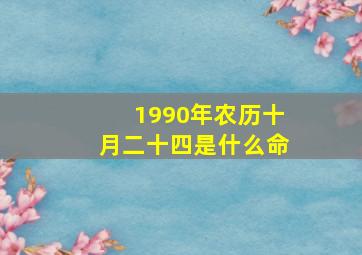 1990年农历十月二十四是什么命