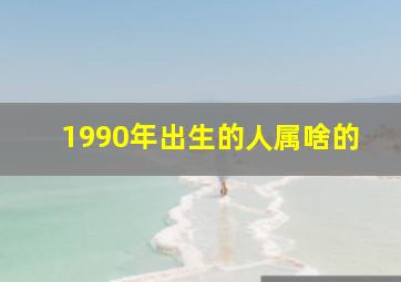 1990年出生的人属啥的