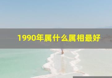 1990年属什么属相最好