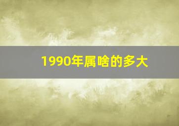 1990年属啥的多大