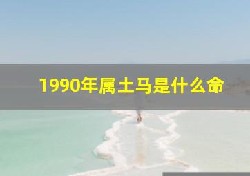 1990年属土马是什么命