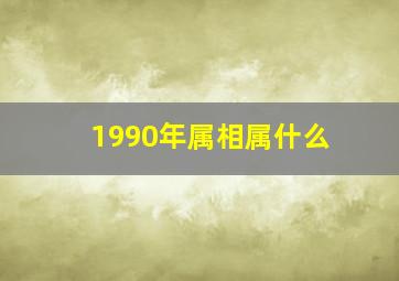 1990年属相属什么