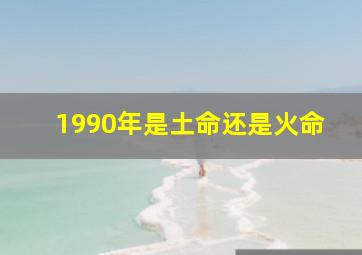 1990年是土命还是火命