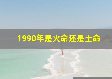 1990年是火命还是土命