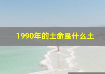 1990年的土命是什么土