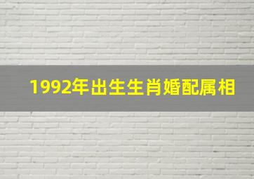 1992年出生生肖婚配属相