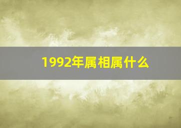 1992年属相属什么