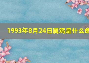 1993年8月24日属鸡是什么命