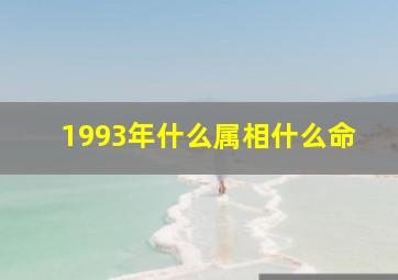 1993年什么属相什么命