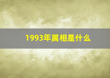 1993年属相是什么