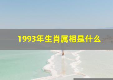 1993年生肖属相是什么