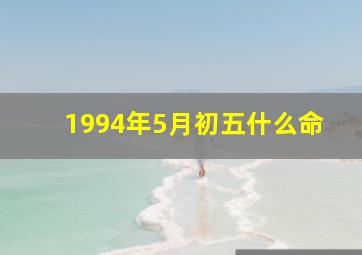 1994年5月初五什么命