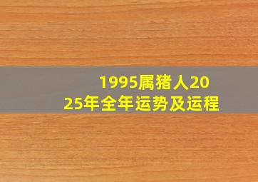 1995属猪人2025年全年运势及运程