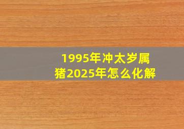 1995年冲太岁属猪2025年怎么化解