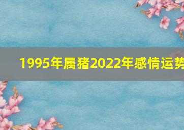 1995年属猪2022年感情运势