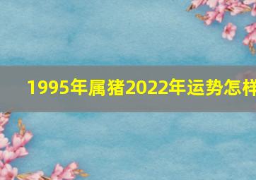 1995年属猪2022年运势怎样