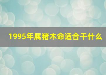 1995年属猪木命适合干什么