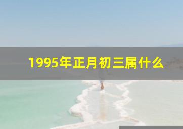 1995年正月初三属什么