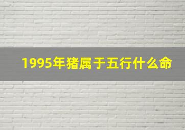 1995年猪属于五行什么命