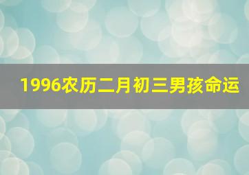 1996农历二月初三男孩命运