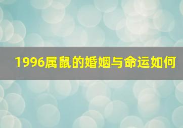 1996属鼠的婚姻与命运如何