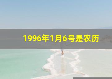 1996年1月6号是农历