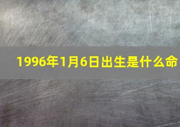 1996年1月6日出生是什么命