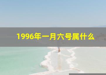 1996年一月六号属什么