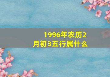 1996年农历2月初3五行属什么