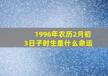 1996年农历2月初3日子时生是什么命运