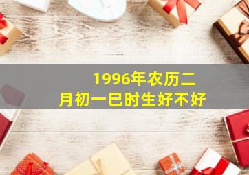 1996年农历二月初一巳时生好不好