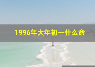 1996年大年初一什么命