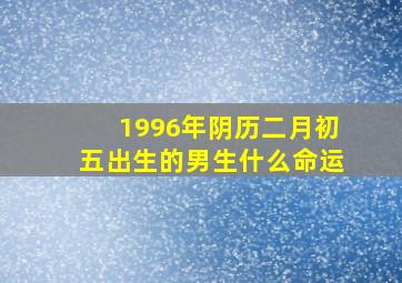 1996年阴历二月初五出生的男生什么命运